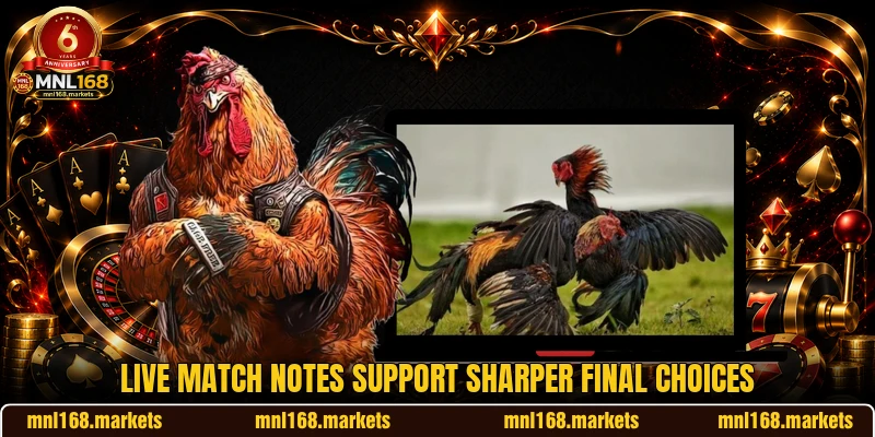 Live match notes support sharper final choices Live match notes support sharper final choices