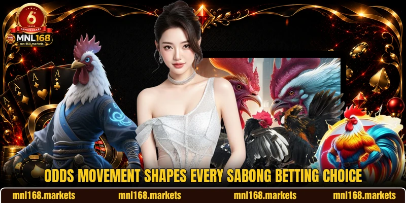 Odds movement shapes every sabong betting choice