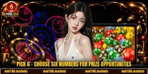 Pick 6 - Choose Six Numbers For Prize Opportunities